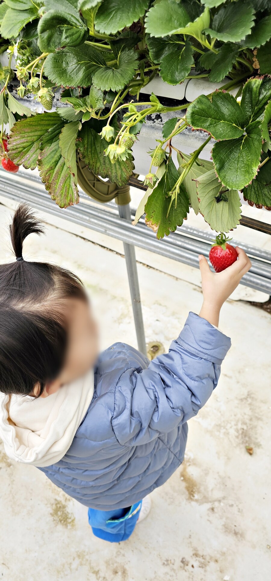 여행 다녀왔습니다 - 전북 전주_28.jpg