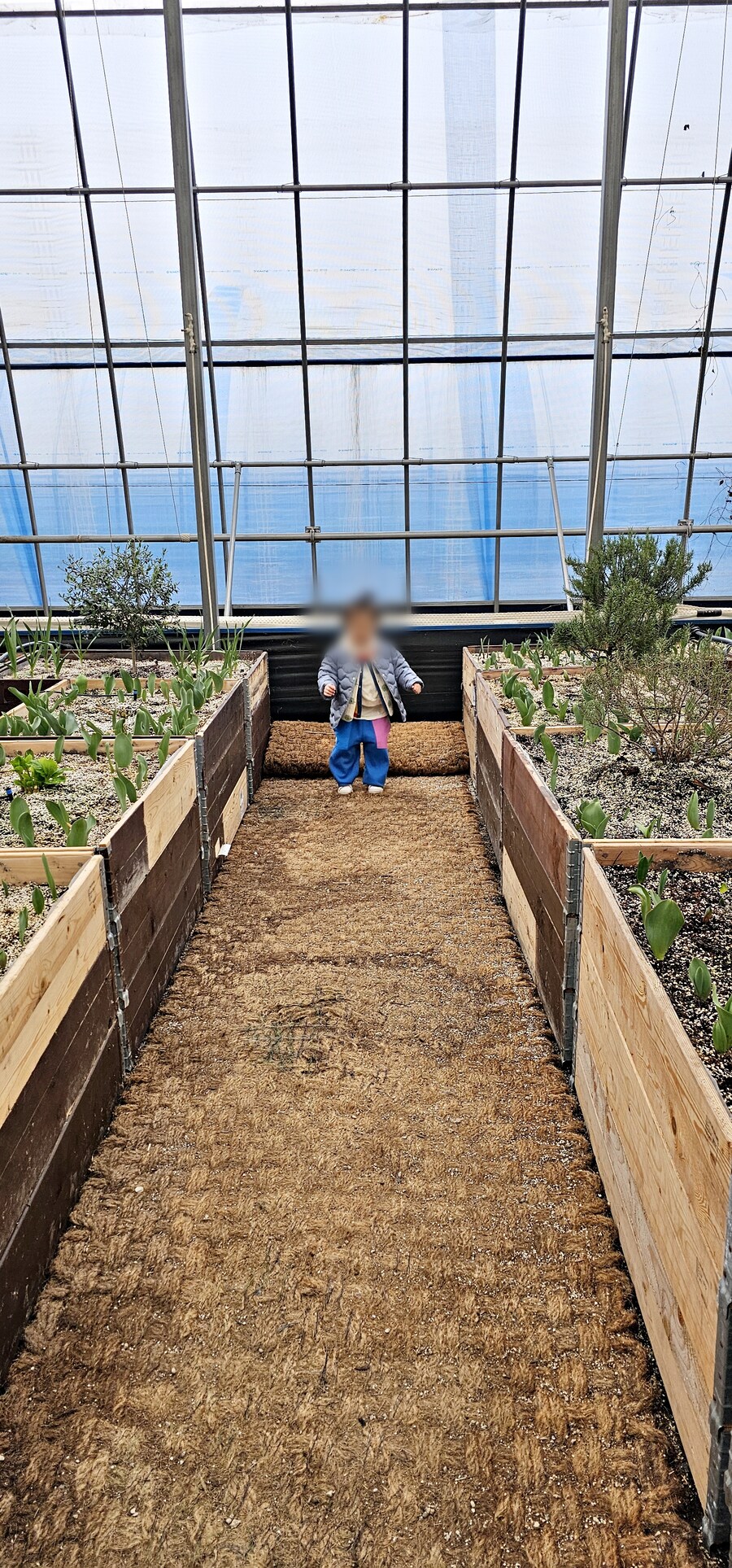 여행 다녀왔습니다 - 전북 전주_30.jpg