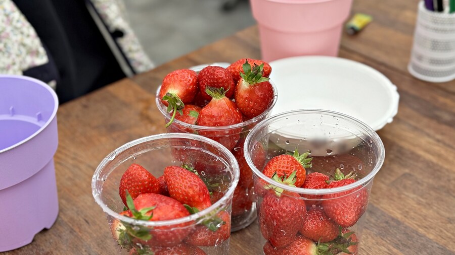 여행 다녀왔습니다 - 전북 전주_31.jpg