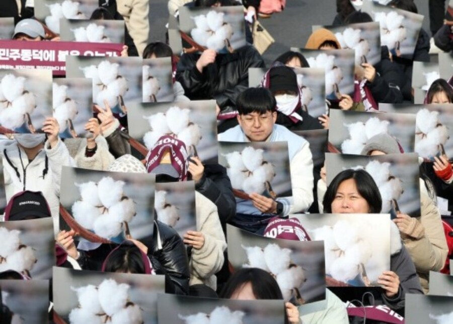 목화 솜을 따서라도 빚을 갚겠습니다 ㅠㅠ_1.jpg