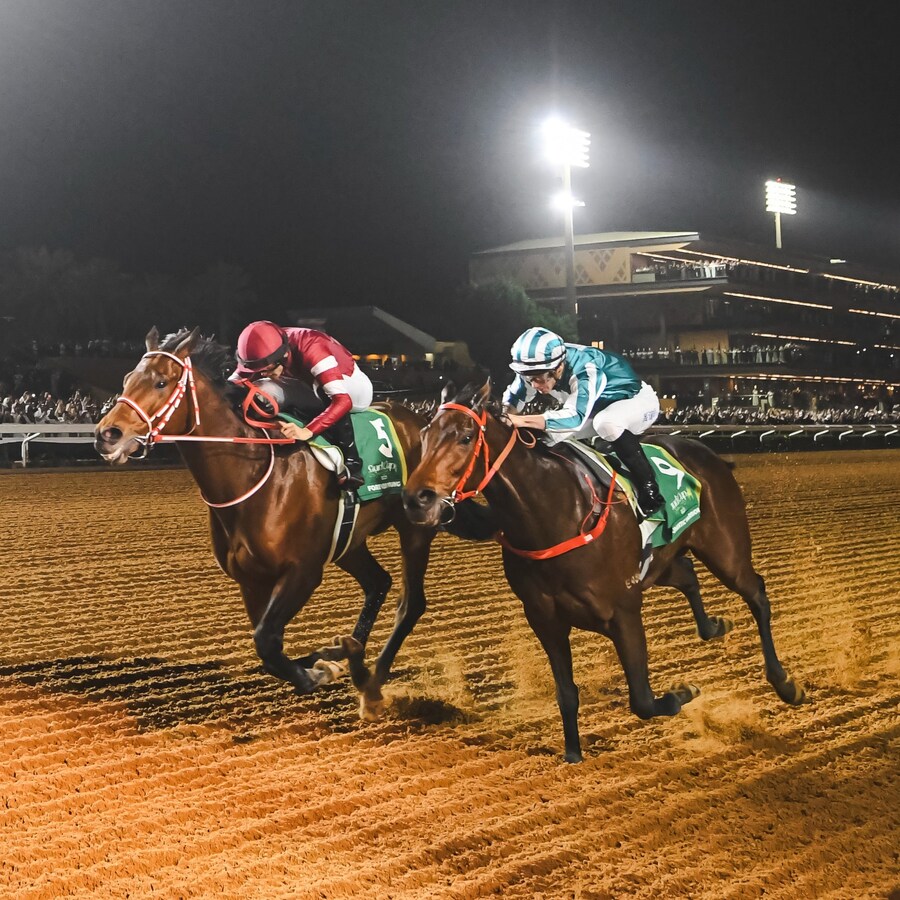말딸,경마) 사이게 사장의 포에버 영과 싸웠던 로맨틱 워리어, 리벤지전 가능성_1.jpg
