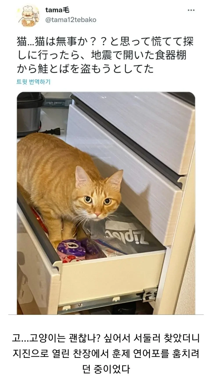 지진을 틈탄 절도사건 발생_1.webp