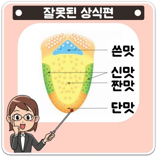 한때 교과서에도 실렸었던 사실은 틀렸던 대표적 상식.JPG_1.jpg