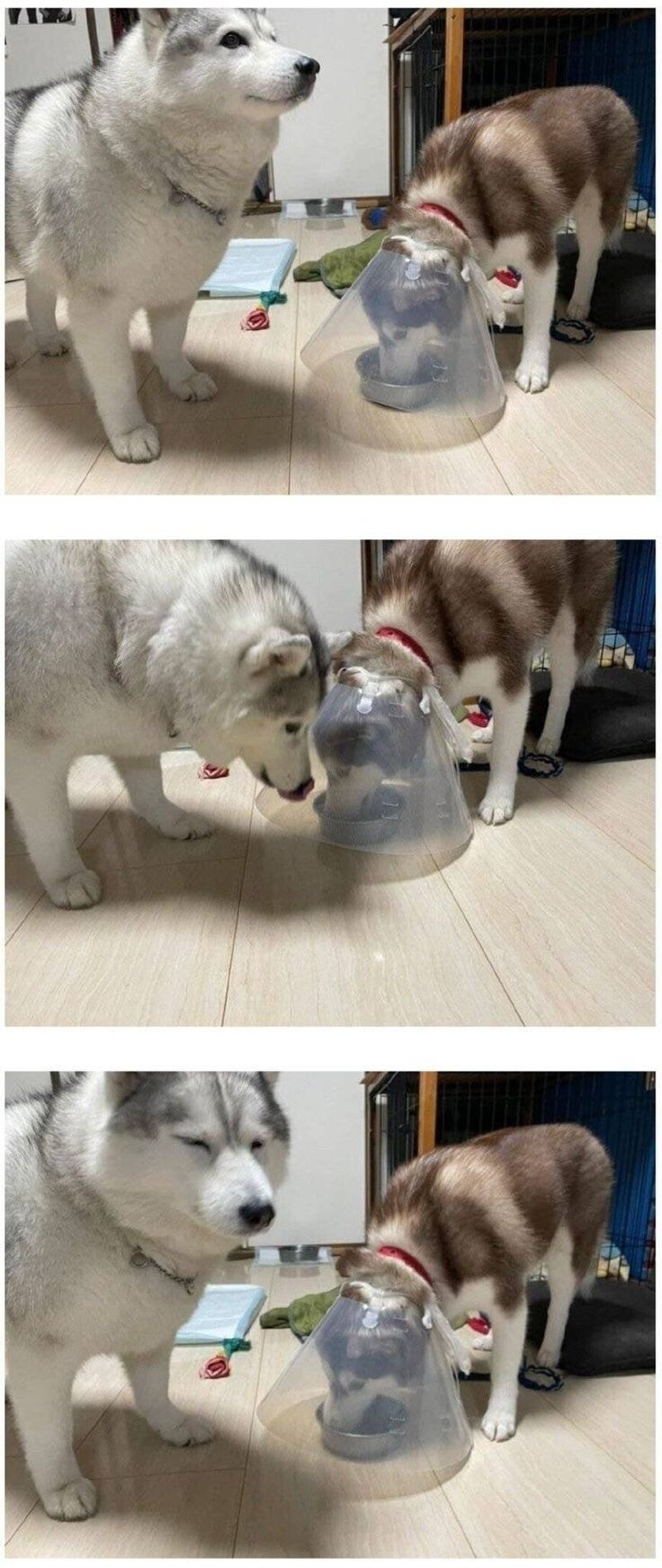 템 너무 사기 아니냐.jpg_1.jpg