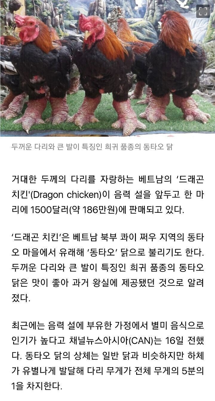 [혐] 베트남에서 최고 인기 있다는 공룡 치킨_1.jpg