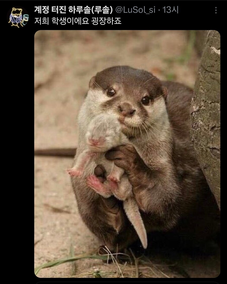 시위에 덕질깃발 들고 간 사람의 스노우볼 해외판._11.jpg