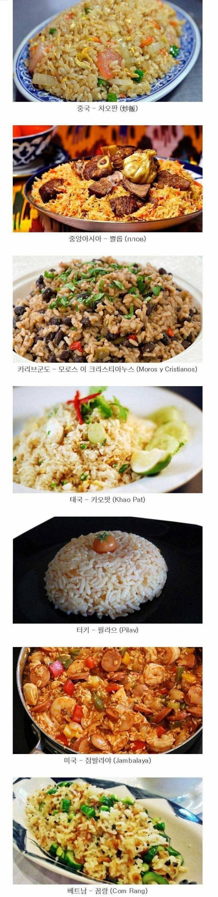 각 나라별 볶음밥.jpg_1.jpg