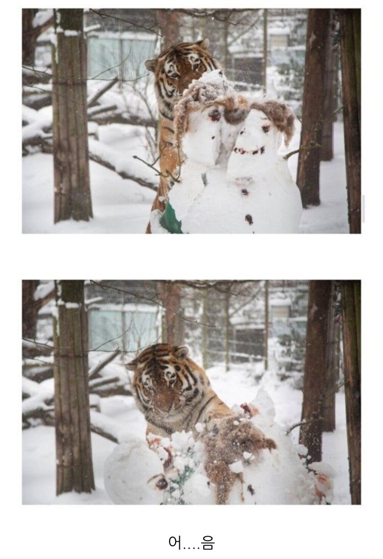 힘들게 만든 눈사람 부순 범인 검거했다.jpg_2.jpg