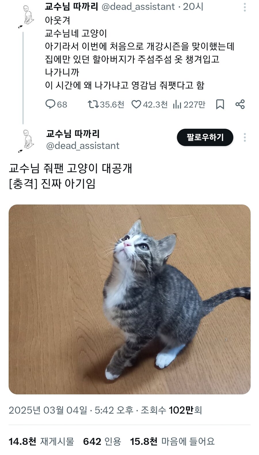 교수님 줘팬 고양이.jpg_1.jpg