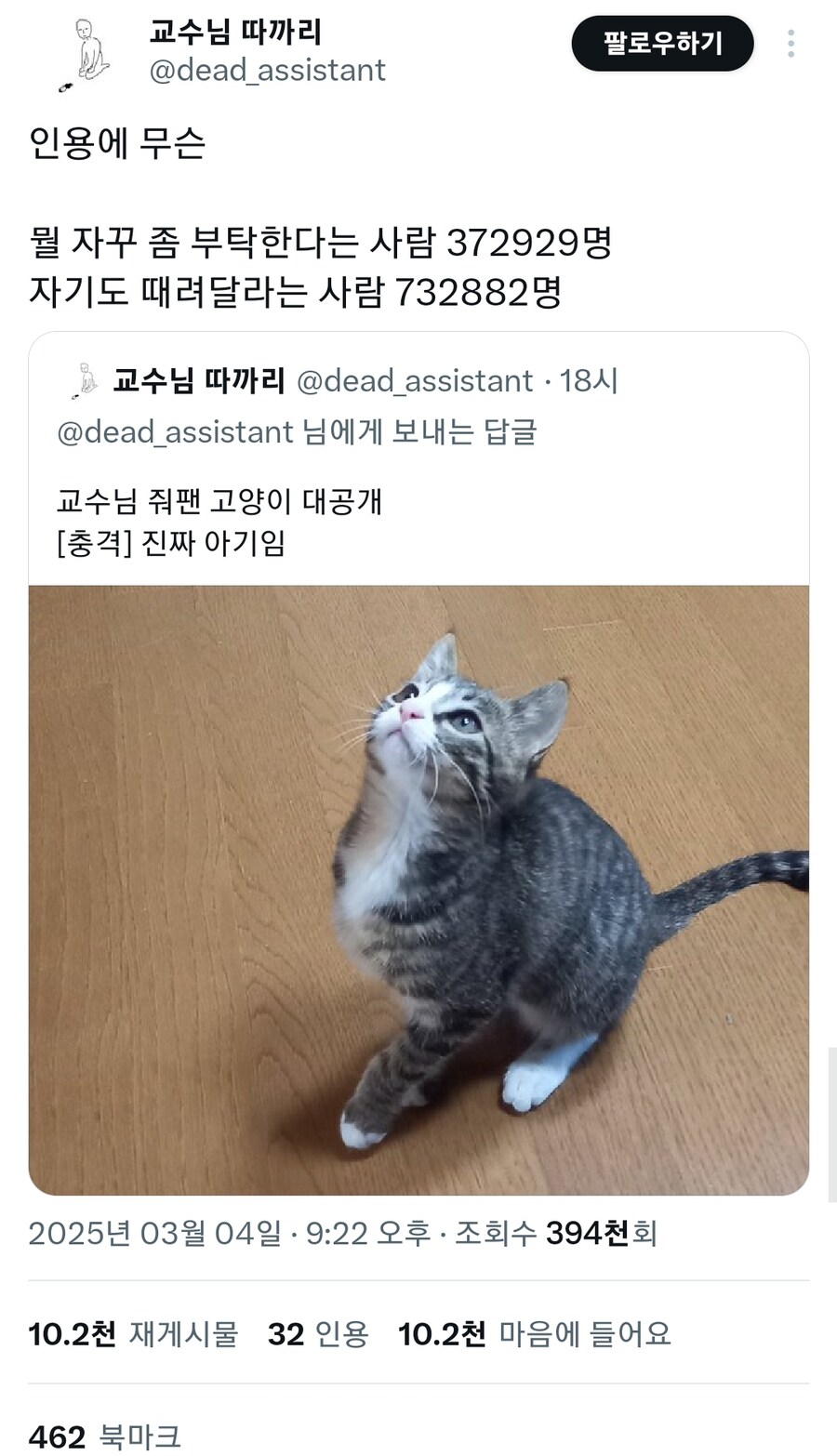 교수님 줘팬 고양이.jpg_2.jpg