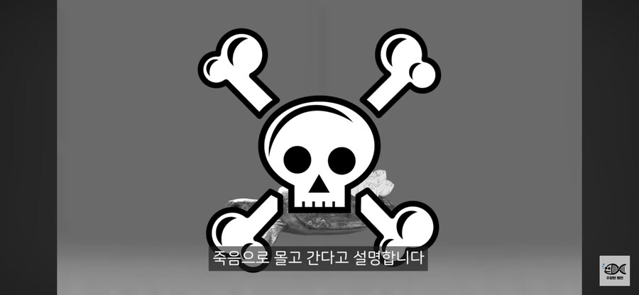 약혐주의)따개비 관련 많이 오해한다는 사실_18.png