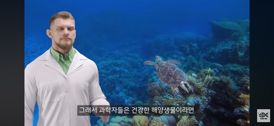 약혐주의)따개비 관련 많이 오해한다는 사실_39.png