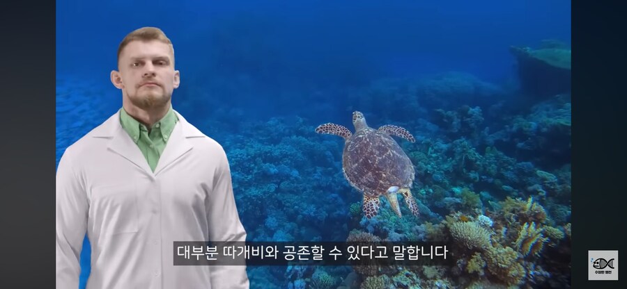 약혐주의)따개비 관련 많이 오해한다는 사실_40.png