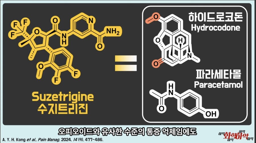 20년만에 새로 나온 진통제가 주목받는 이유_5.jpg