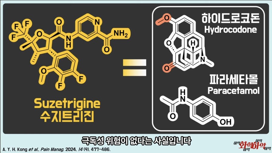 20년만에 새로 나온 진통제가 주목받는 이유_7.jpg