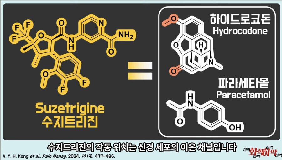20년만에 새로 나온 진통제가 주목받는 이유_8.jpg