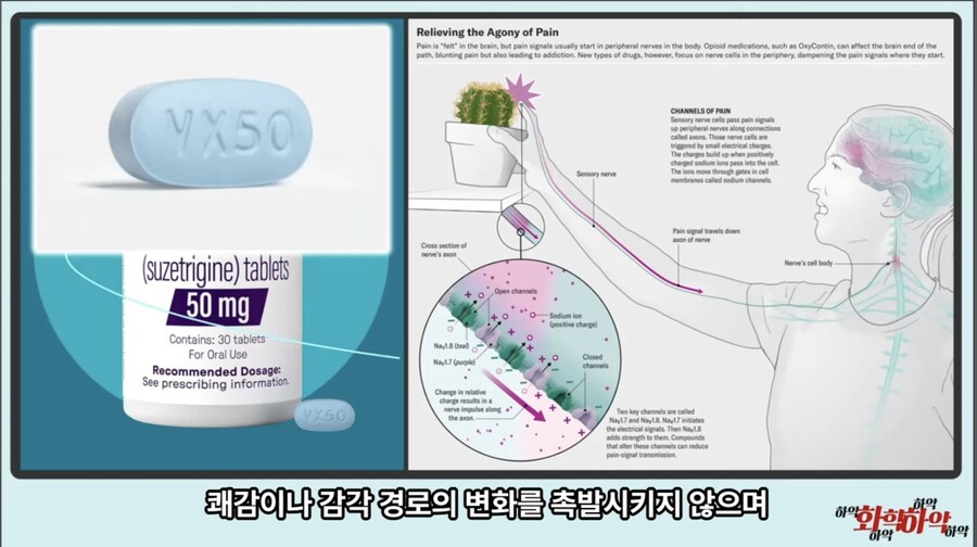 20년만에 새로 나온 진통제가 주목받는 이유_16.jpg