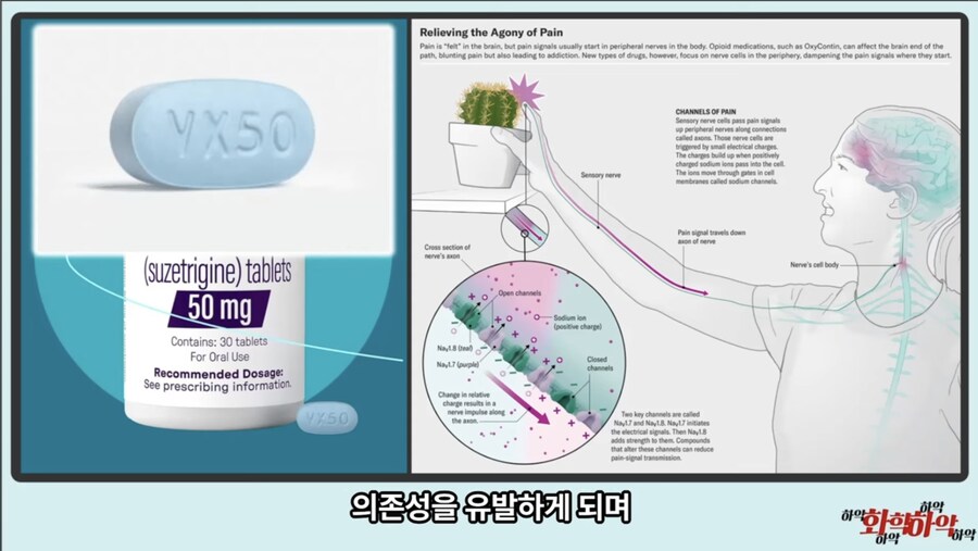 20년만에 새로 나온 진통제가 주목받는 이유_20.jpg