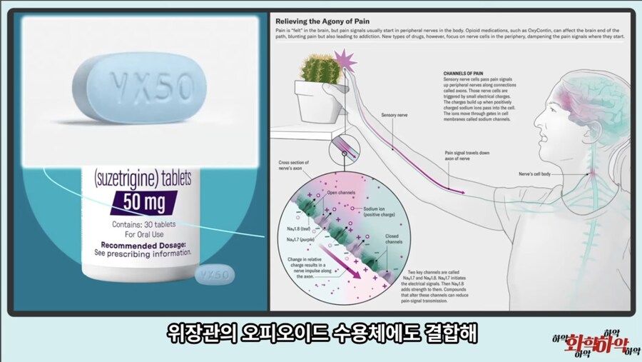 20년만에 새로 나온 진통제가 주목받는 이유_21.jpg