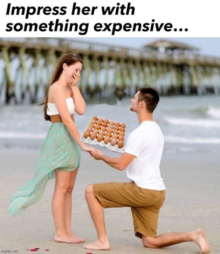 계란 파동 겪은 미국인들 반응.jpg_4.jpg