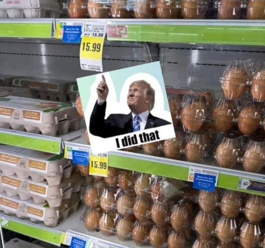 계란 파동 겪은 미국인들 반응.jpg_11.jpg