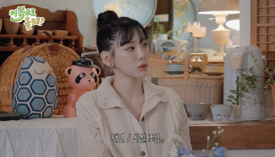 태연이 음악방송 활동 안하는 이유_9.jpg