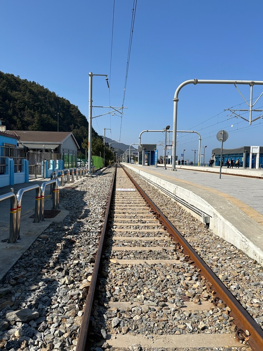 (스압) 강릉에서 1박2일동안 돼지파티하고 왔습니다._15.jpg