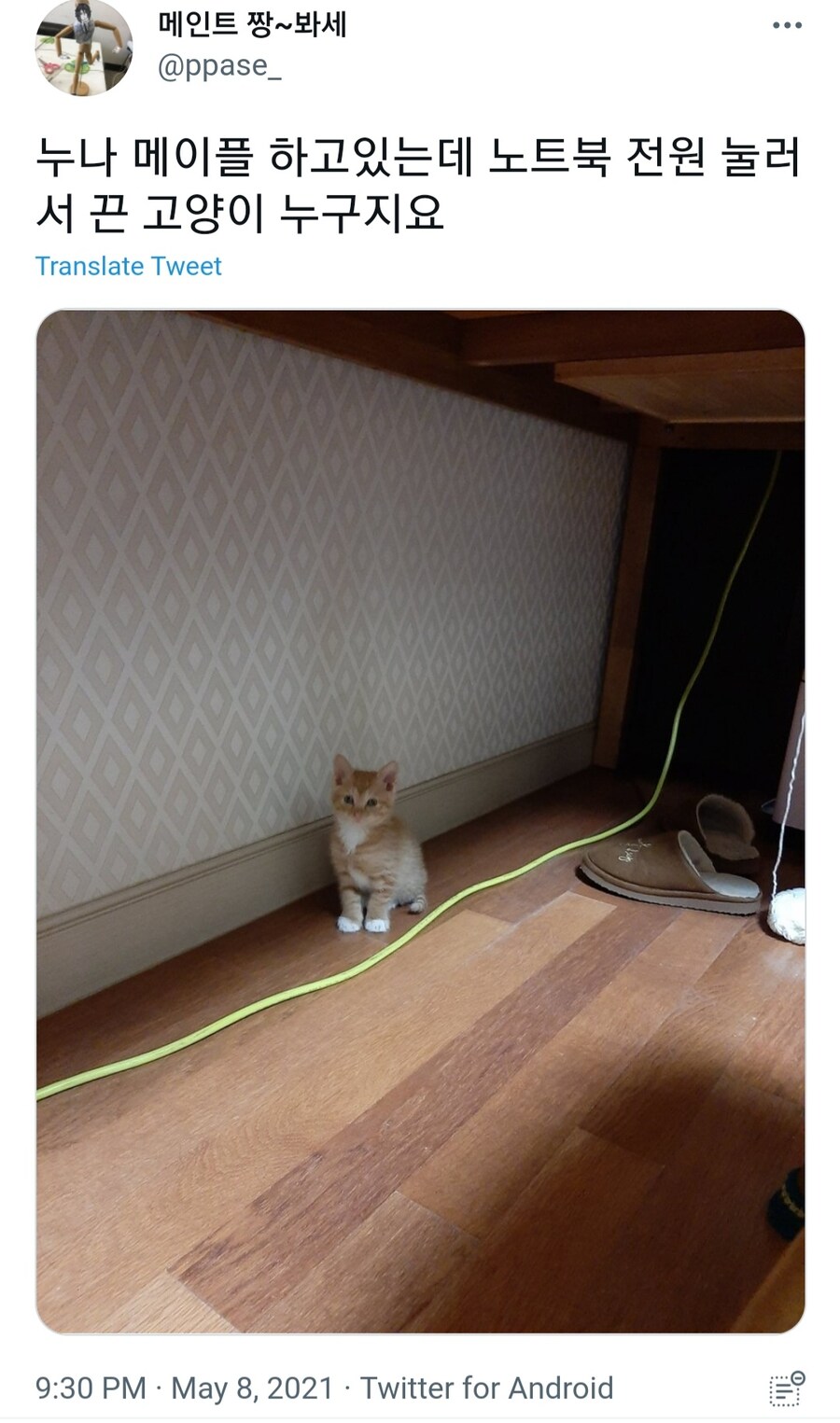 고양이 : 아 누나야. 내가 누나 살려준거라니까?_1.jpg