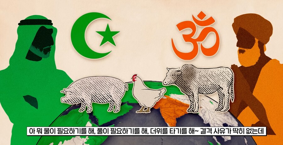 의외로 닭이 종교에서 금지 안 당한 이유.jpg_3.png