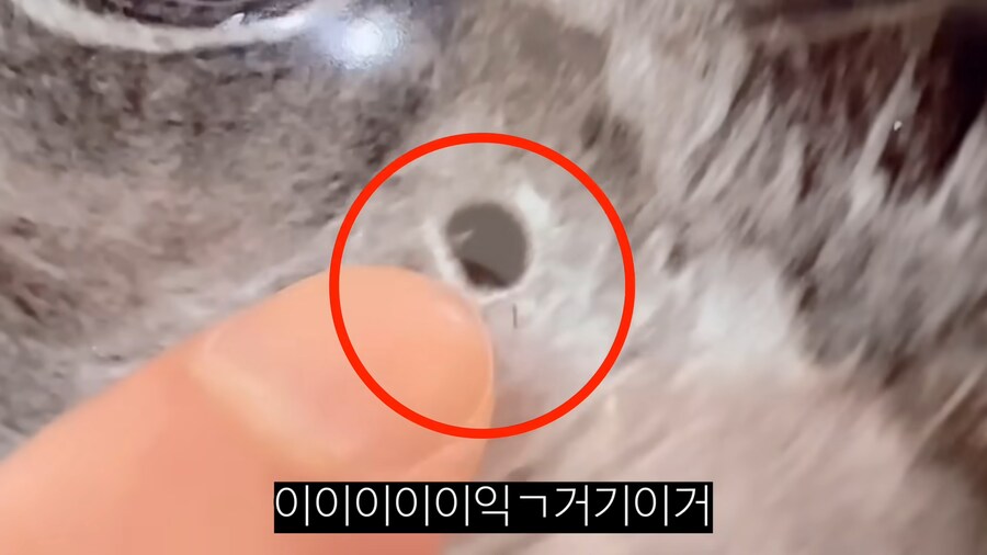 남편이 무족건 납짝 엎드리면서 사과하게 된 이유류 甲_17.png