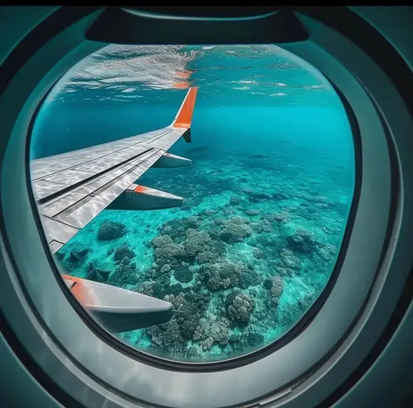 비행기 안에서 보기싫은 광경 TOP5_4.webp