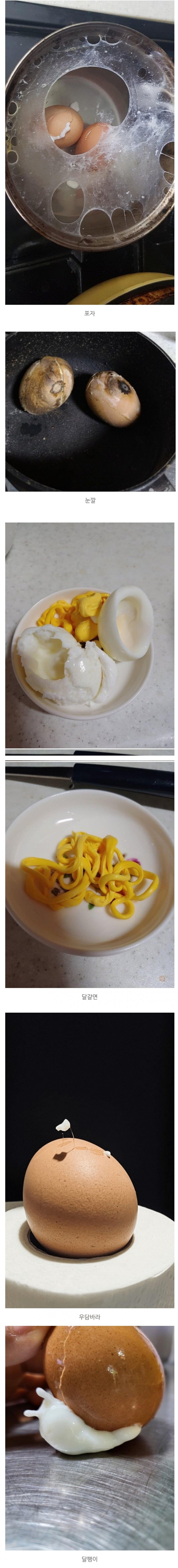 삶은계란 컨테스트_1.jpg