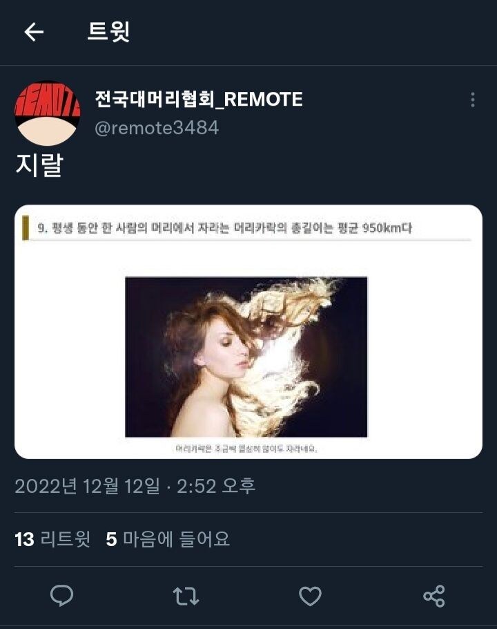 평생 자라는 머리카락은 950km다_1.jpg