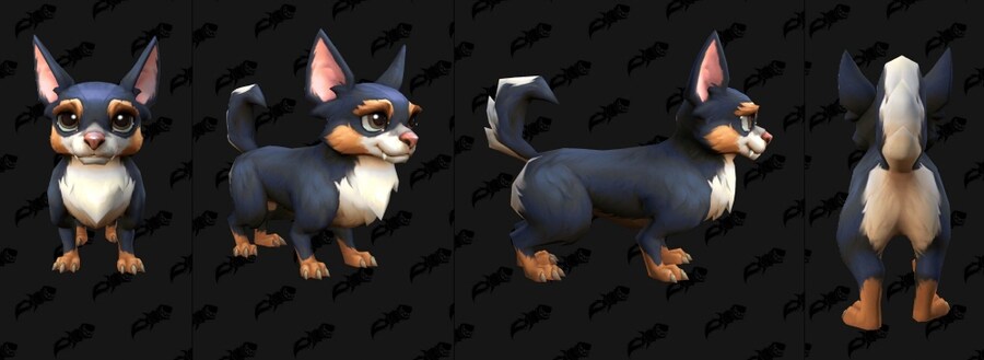 와우 11.1.5 신규 탈것, 펫, 무기 및 방어구 모음_25.jpg