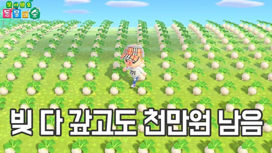 (동물의숲) 한국인 유저들에게 주로 나타난다는 플레이 스타일.JPG_1.jpg