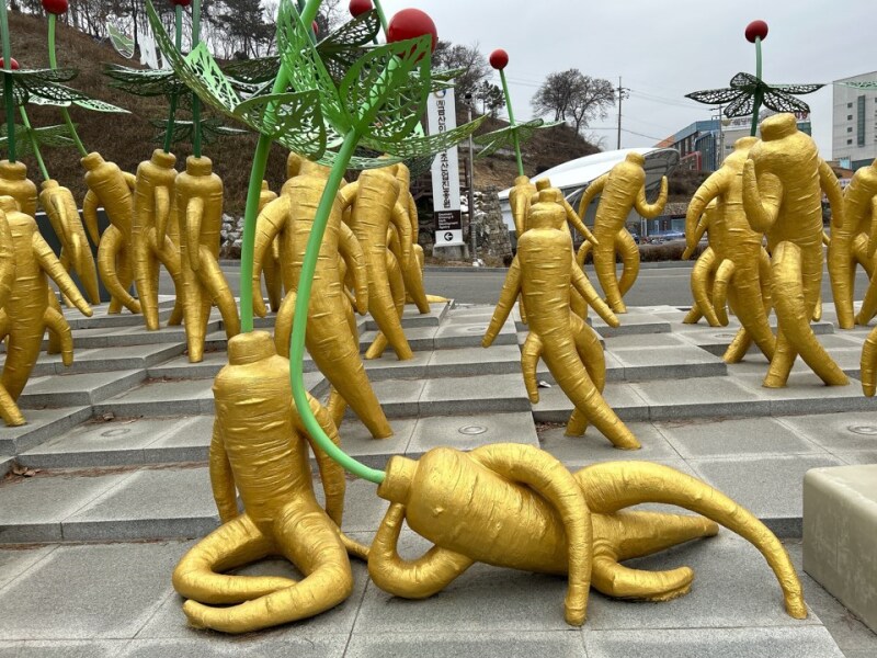 충남 금산군의 공포 괴담_2.png