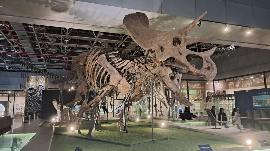 당일치기 대전 성심당 / 부모님 생신 파티_25.jpg