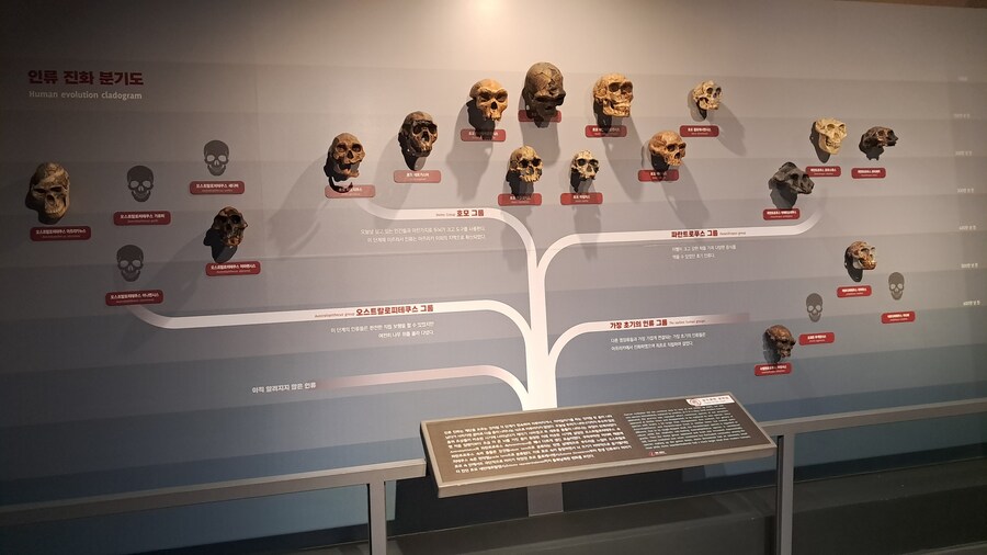 당일치기 대전 성심당 / 부모님 생신 파티_29.jpg