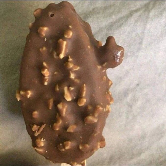 빨리 와서 이것 좀 봐봐 따봉 아이스크림이야_1.jpg