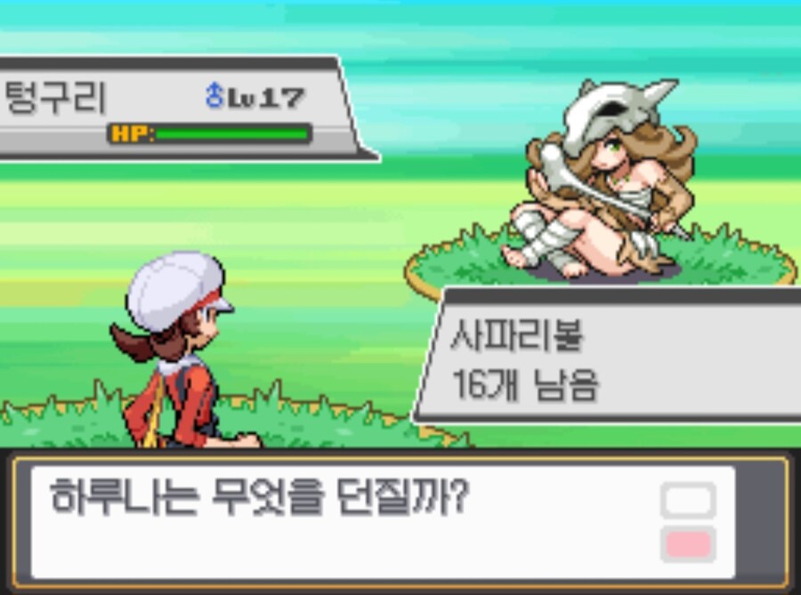 포켓몬 최고의 리메이크 버전_19.jpg