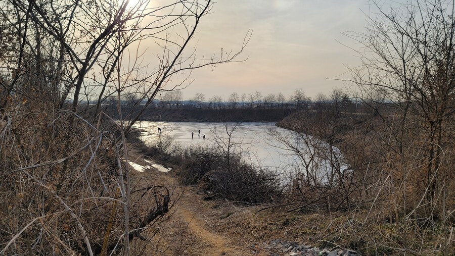 1월 장월평천, 파주출판단지 유수지 탐조_83.jpg