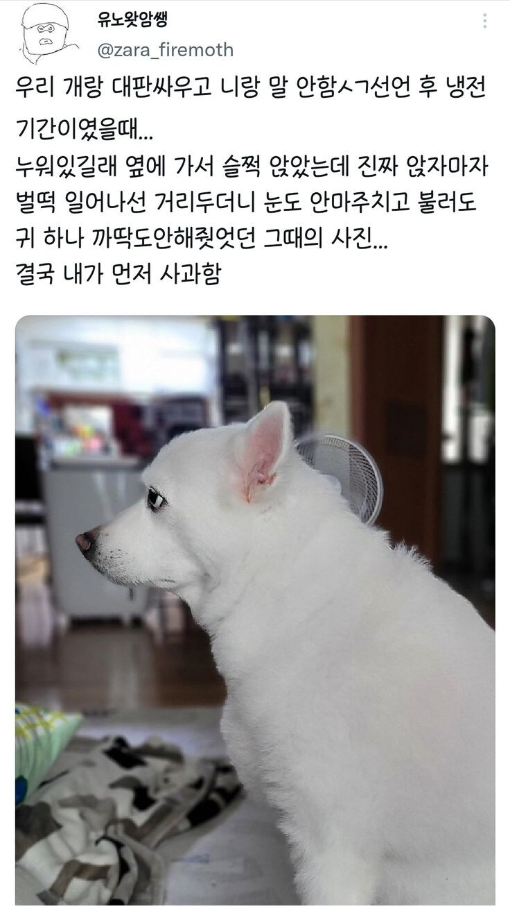 개랑 대판싸운 사람.jpg_1.jpg