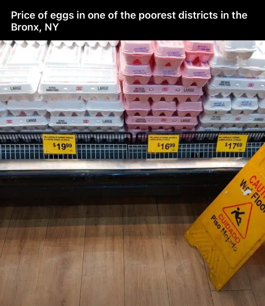 계란 1팩 1999달러 이야기를 알아보았다