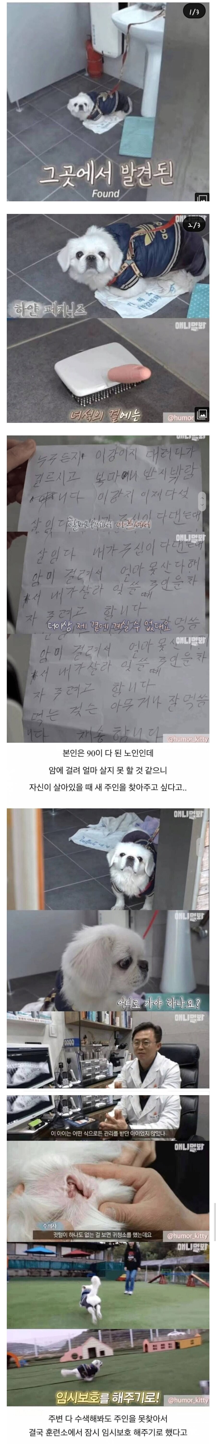 암 걸려서 더 이상 개 못 키운다...공중화장실에 개 묶어둔 할머니_1.jpg
