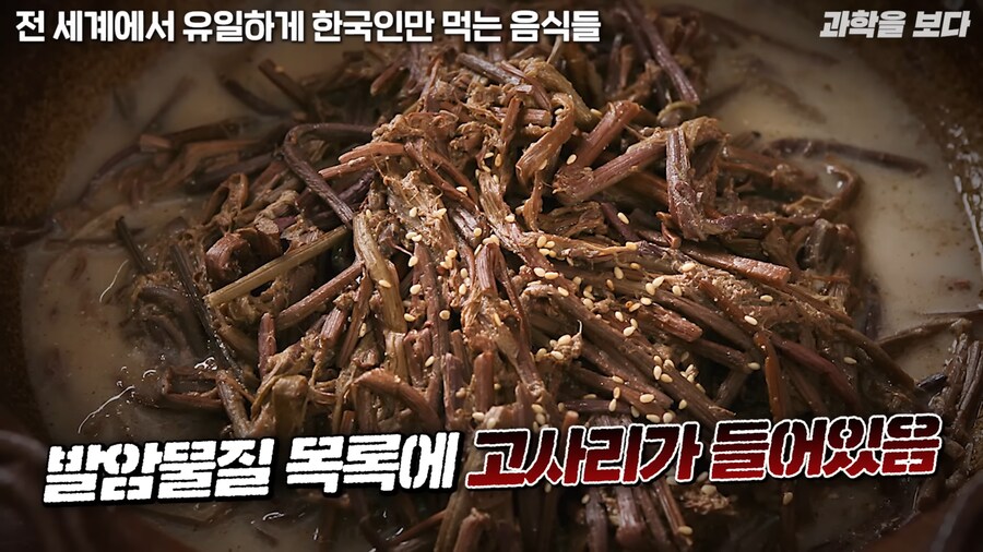 한국인만 먹는 음식_1.png