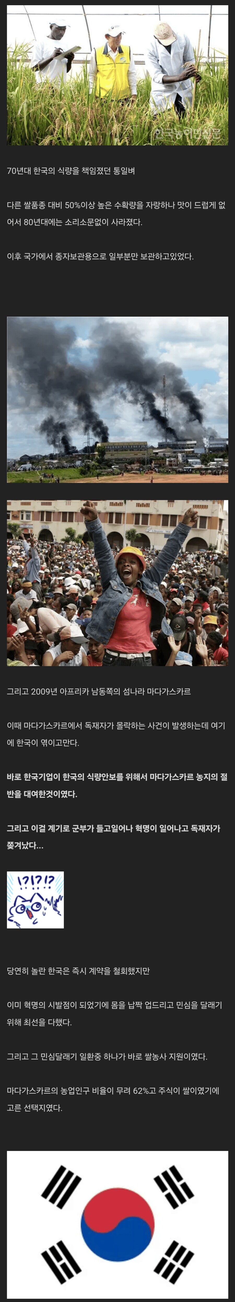 통일벼는 결국 지난 시대의 패배자이니 말이지...!!!_1.png