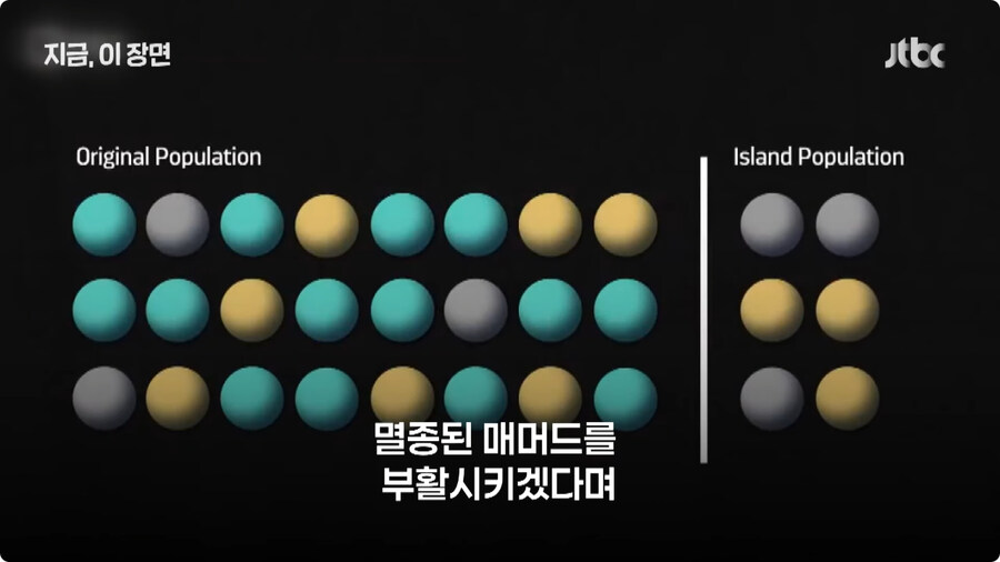 매머드 근황.jpg_3.jpg