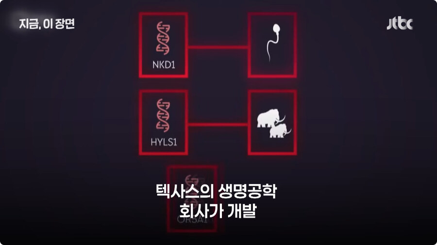 매머드 근황.jpg_4.jpg