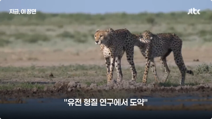 매머드 근황.jpg_11.jpg