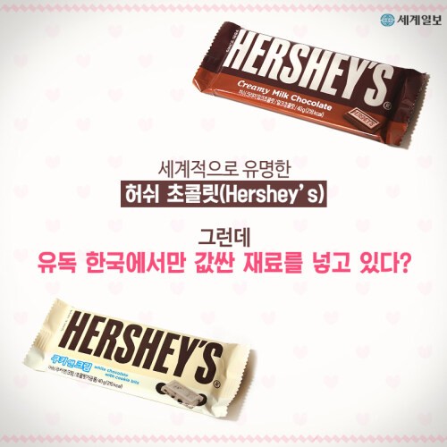 (초콜렛) 한국 초콜렛의 미스테리.JPG_1.jpg